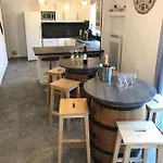 Grand St-lary Centre 13 A 15 Pers *