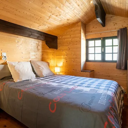 Grand St-lary Centre 13 A 15 Pers Chalet